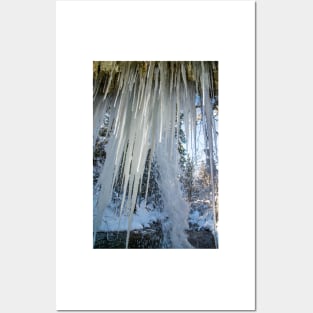 Scheidegg First Waterfall in winter Posters and Art